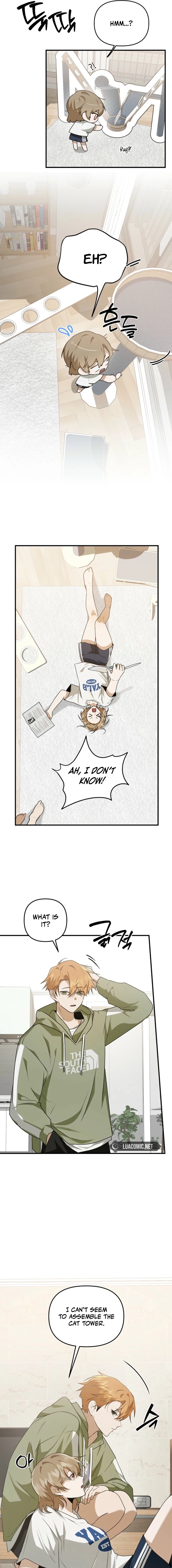 I Became the Butler of Five Men Chapter 9 page 7 - 