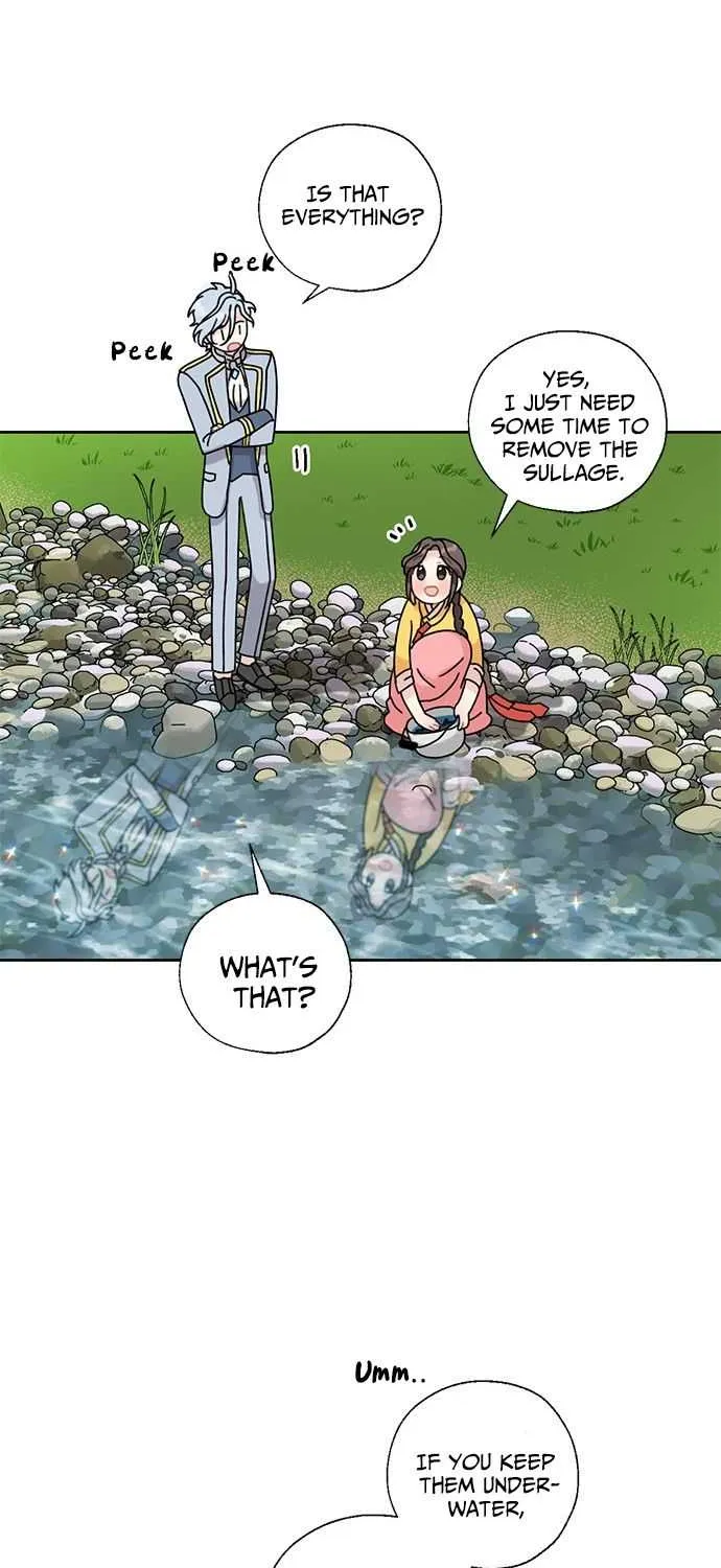 I Became The Chef Of The Dragon King Chapter 14 page 17 - 