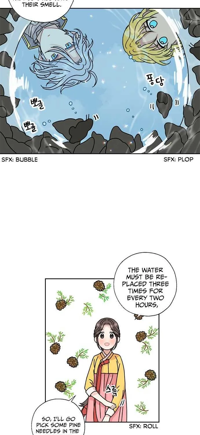 I Became The Chef Of The Dragon King Chapter 14 page 20 - 