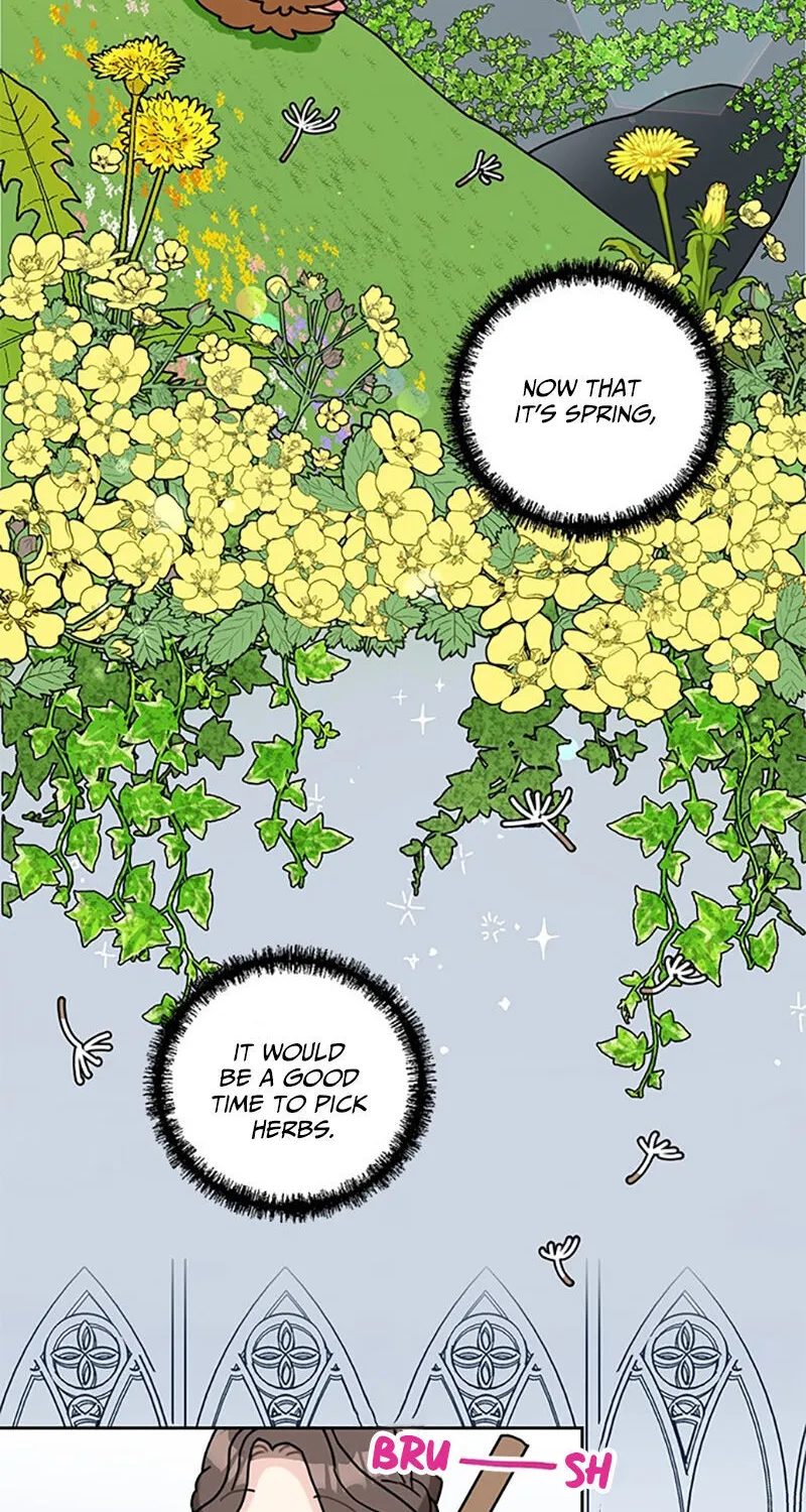 I Became The Chef Of The Dragon King Chapter 26 page 2 - 
