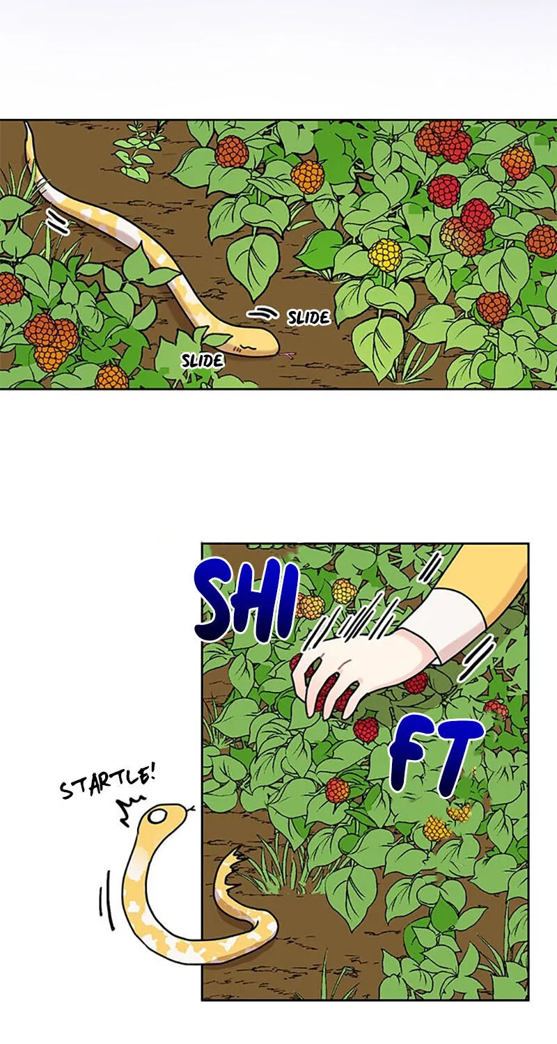I Became The Chef Of The Dragon King Chapter 29 page 19 - 