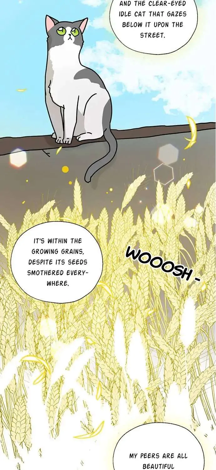 I Became The Chef Of The Dragon King Chapter 46 page 40 - 