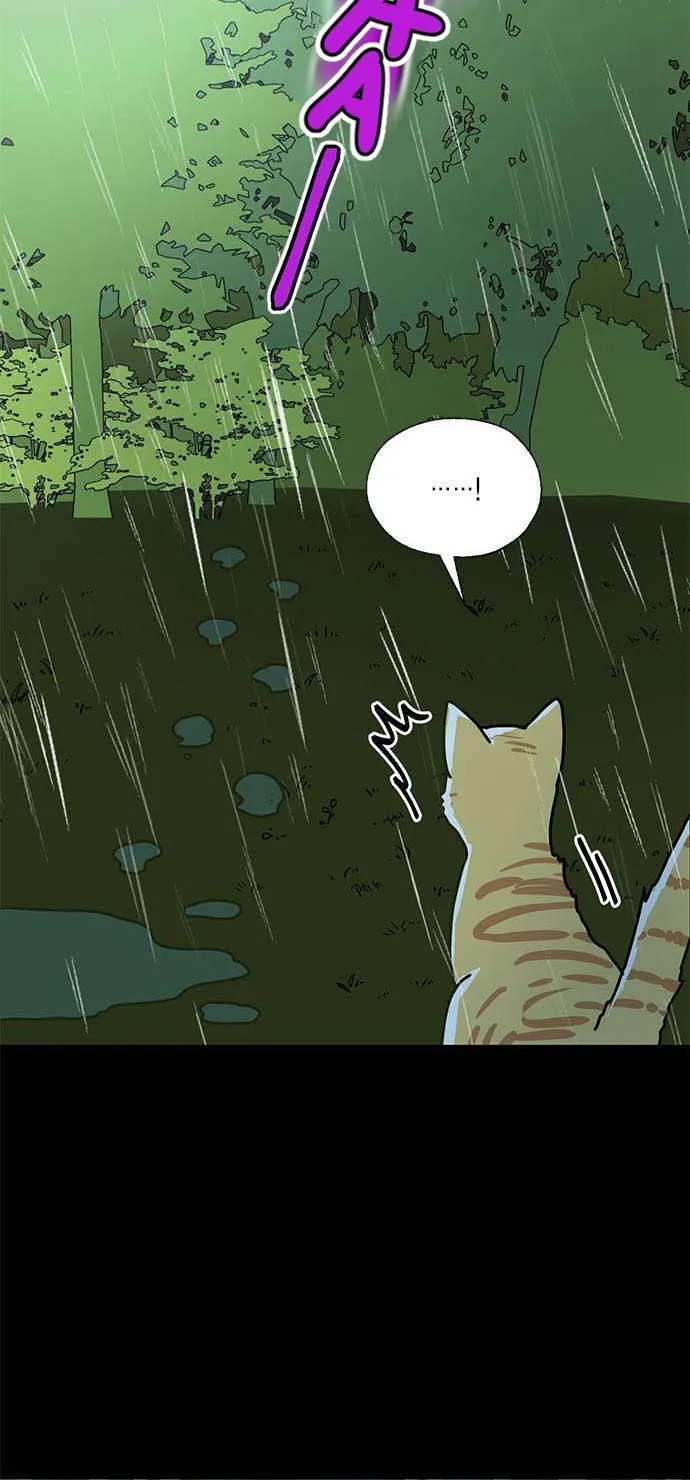 I Became The Chef Of The Dragon King Chapter 51 page 29 - 