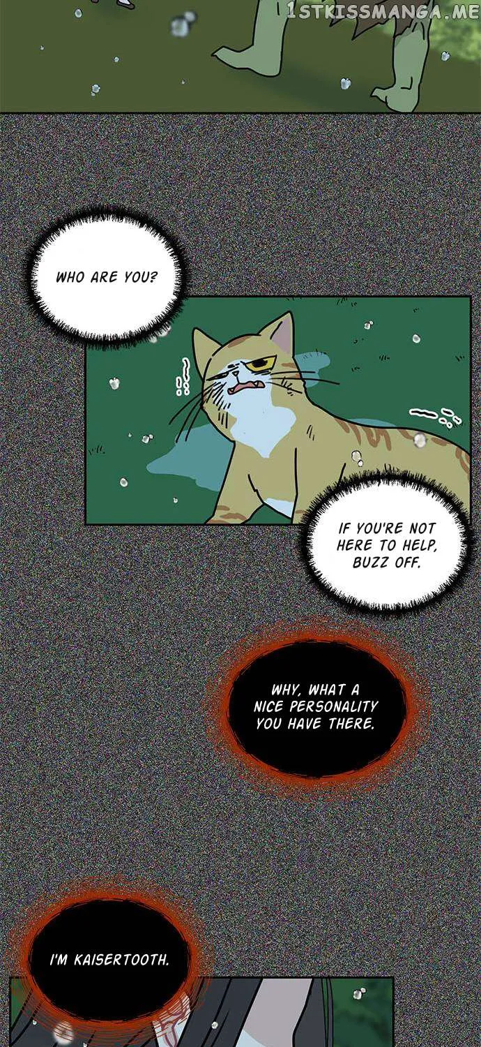 I Became The Chef Of The Dragon King Chapter 51 page 41 - 