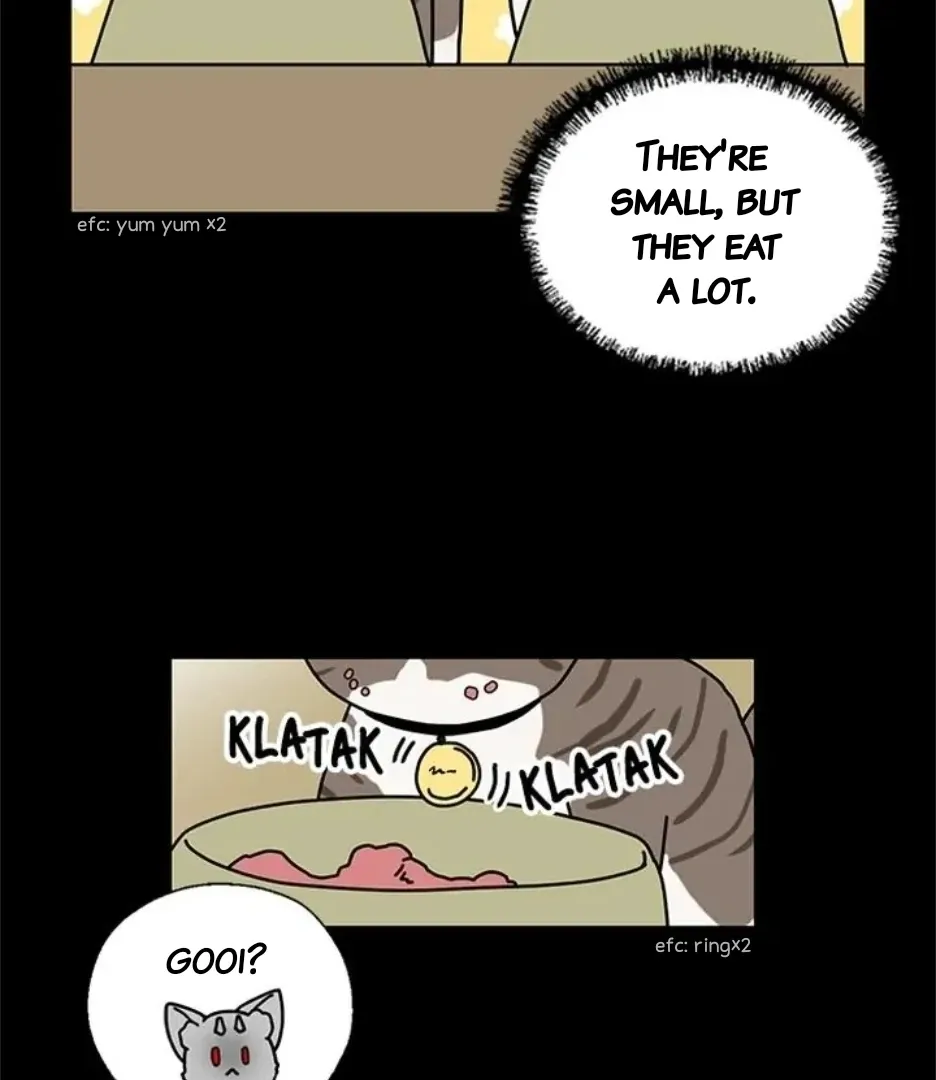 I Became The Chef Of The Dragon King Chapter 76 page 27 - 