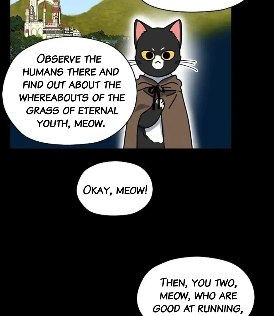 I Became The Chef Of The Dragon King Chapter 78 page 59 - 