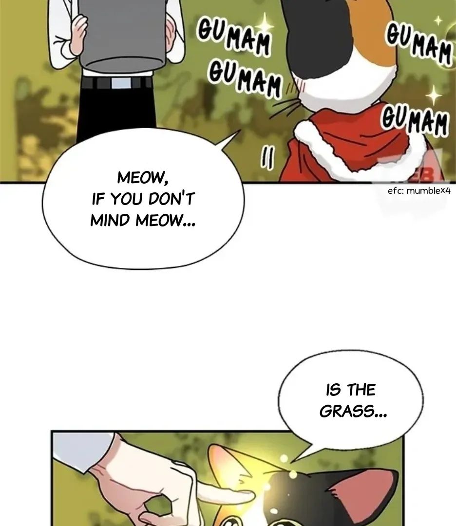 I Became The Chef Of The Dragon King Chapter 79 page 34 - 