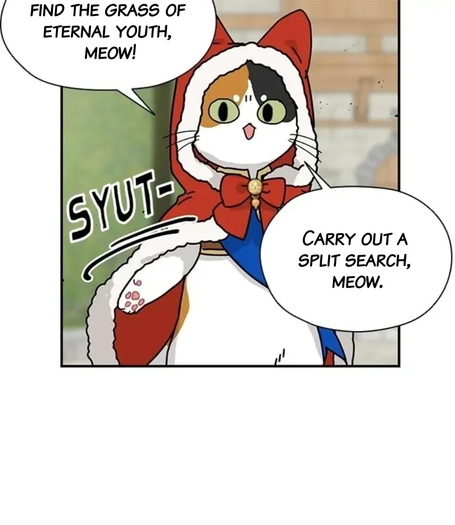 I Became The Chef Of The Dragon King Chapter 79 page 73 - 