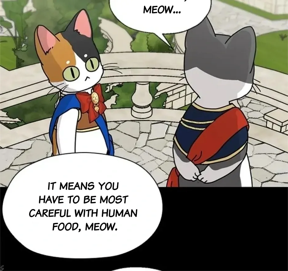 I Became The Chef Of The Dragon King Chapter 80 page 41 - 