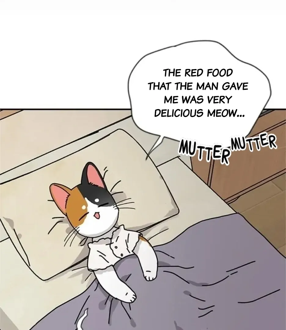 I Became The Chef Of The Dragon King Chapter 80 page 47 - 