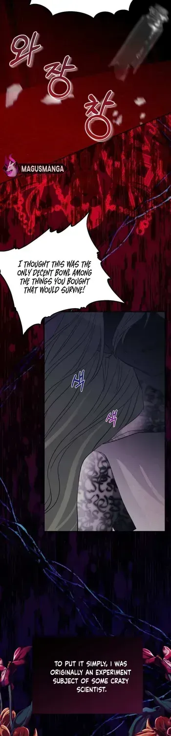 I Became the Contract Daughter of the soon-to-be-ruined Family Chapter 1.3 page 20 - 