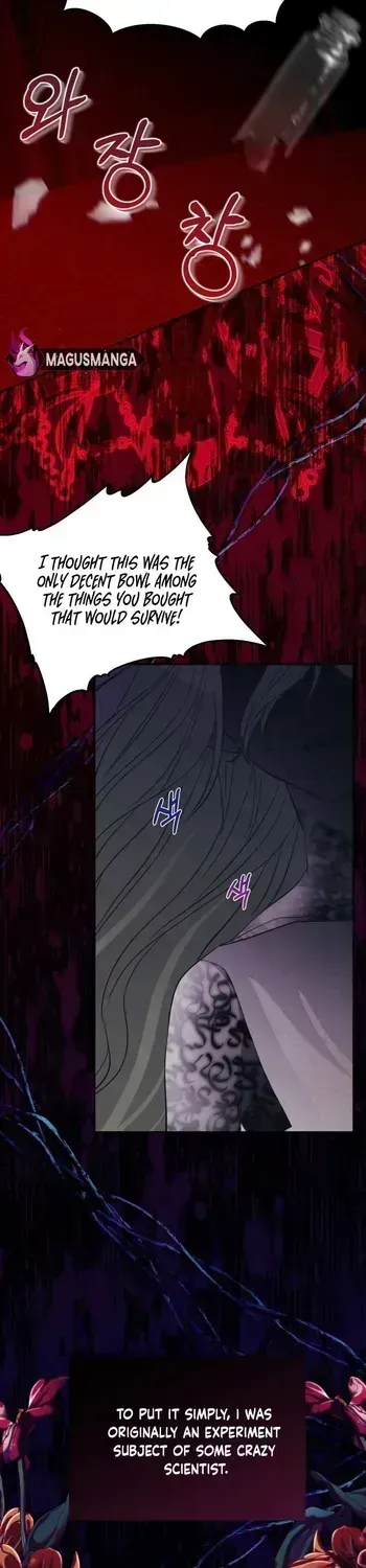 I Became the Contract Daughter of the soon-to-be-ruined Family Chapter 1.4 page 20 - 
