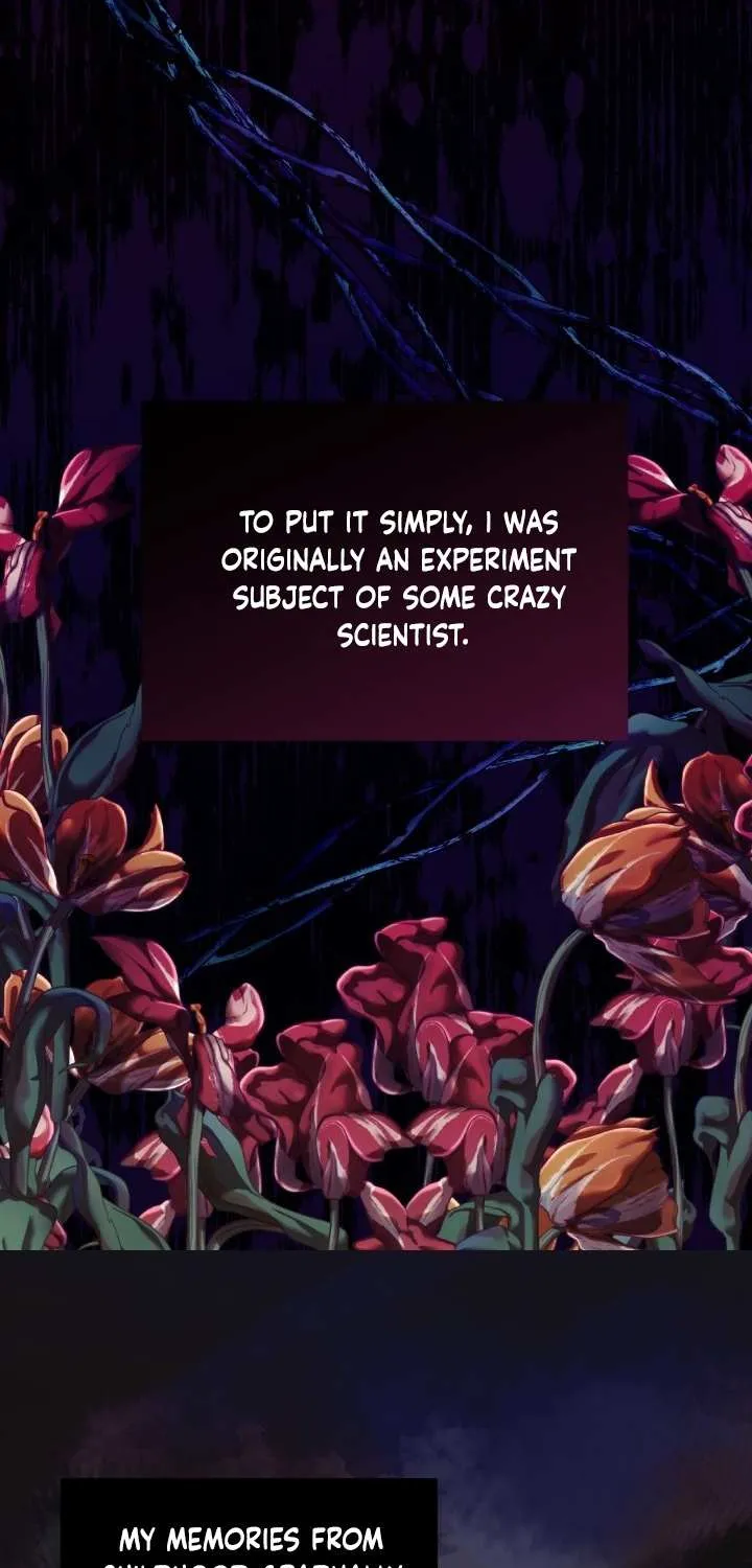 I Became the Contract Daughter of the soon-to-be-ruined Family Chapter 1 page 43 - 
