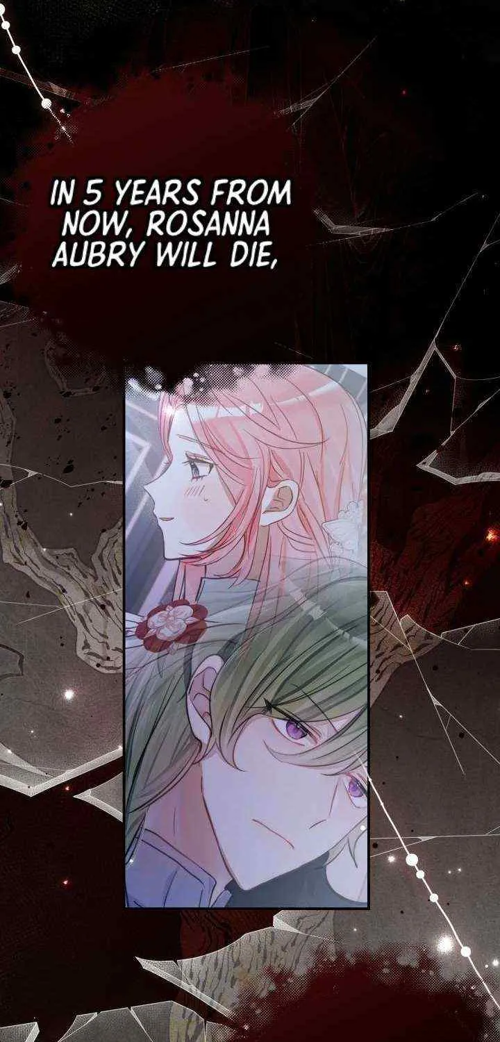 I Became the Contract Daughter of the soon-to-be-ruined Family Chapter 11 page 26 - 