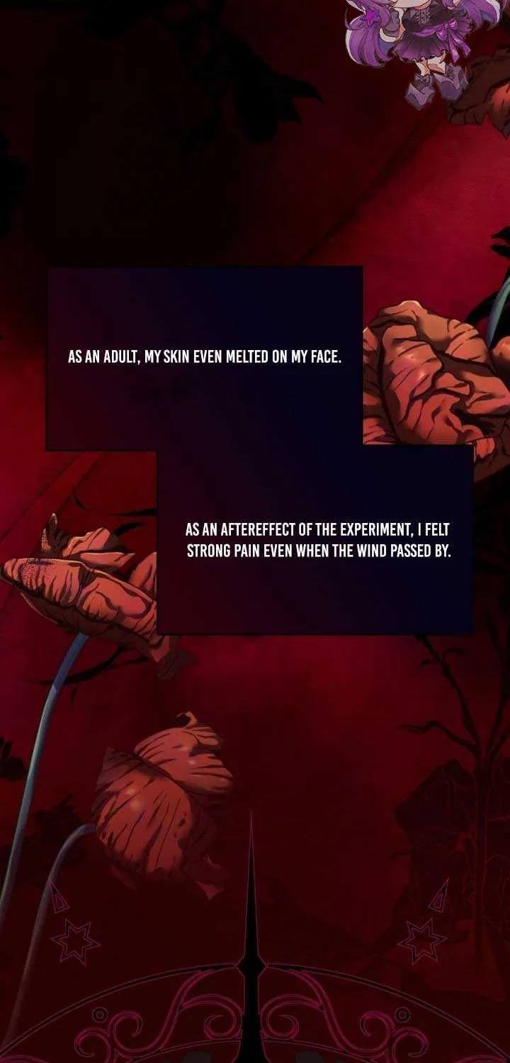 I Became the Contract Daughter of the soon-to-be-ruined Family Chapter 2 page 2 - 