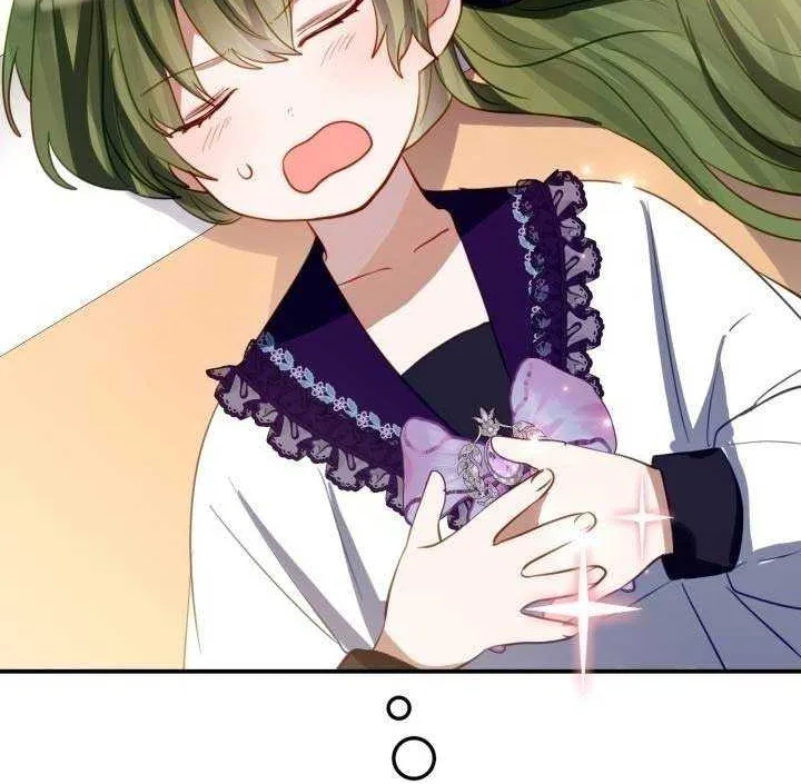 I Became the Contract Daughter of the soon-to-be-ruined Family Chapter 20 page 29 - 
