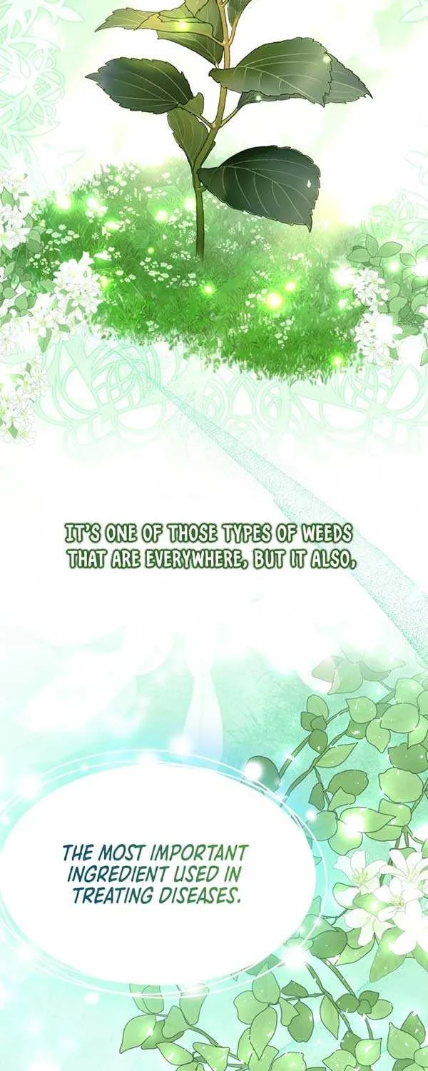 I Became the Contract Daughter of the soon-to-be-ruined Family Chapter 6 page 13 - 