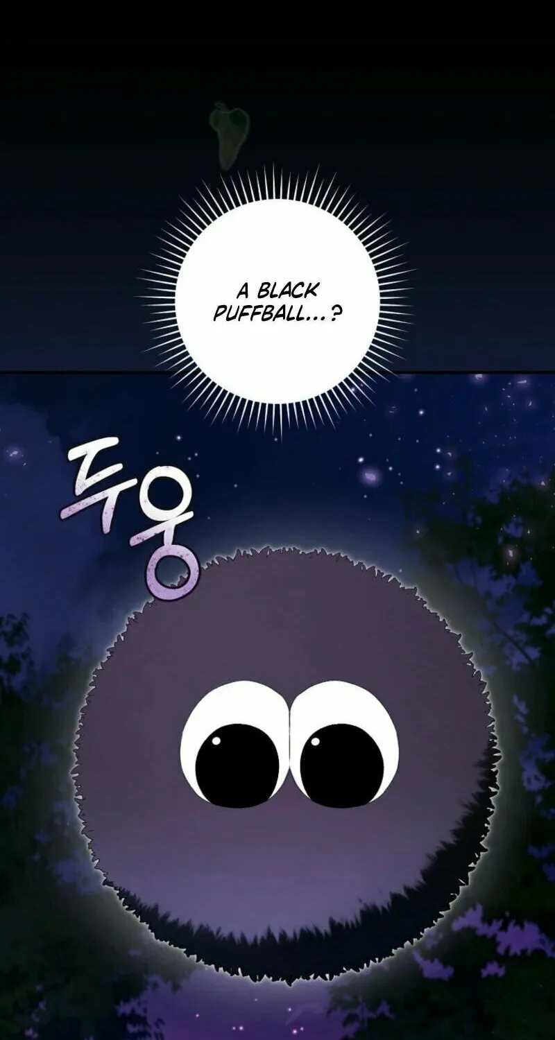 I Became the Cursed Idol Leader Chapter 1 page 54 - 