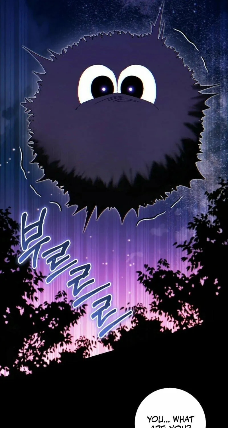 I Became the Cursed Idol Leader Chapter 1 page 67 - 