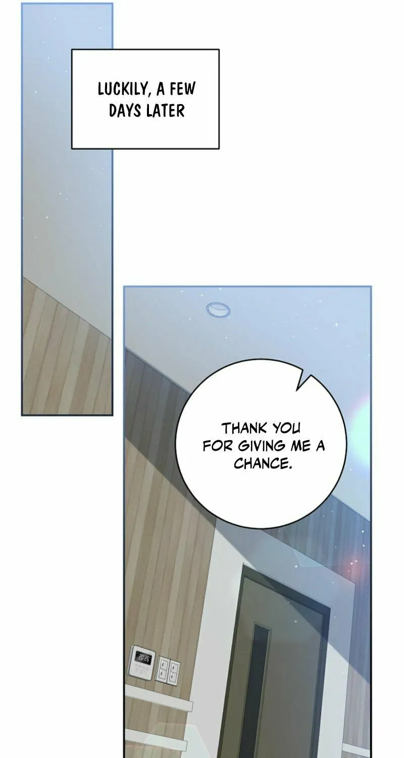I Became the Cursed Idol Leader Chapter 14 page 12 - 