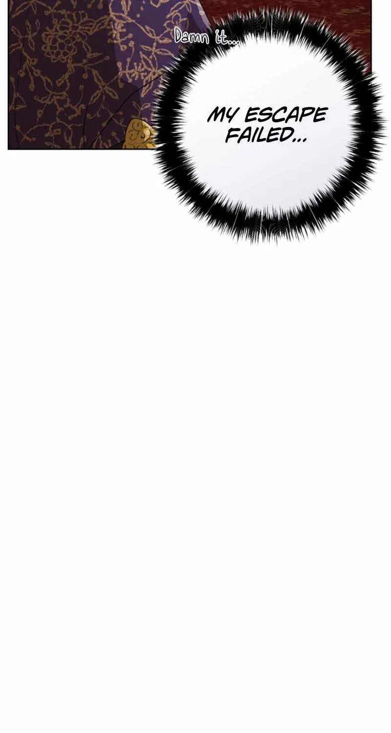I Became the Despised Granddaughter of the Murim Family Chapter 16 page 33 - 