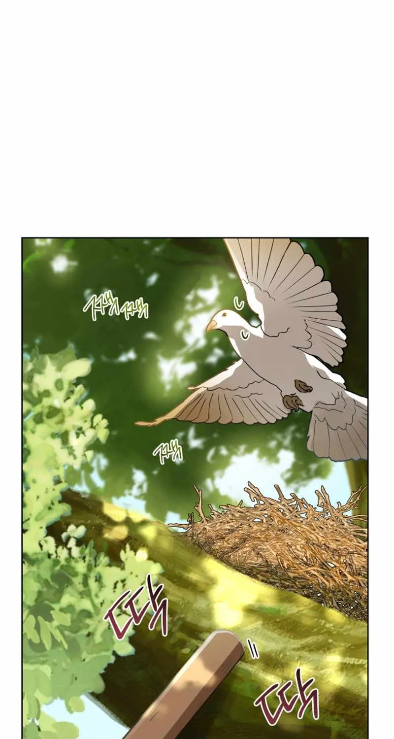 I Became the Despised Granddaughter of the Murim Family Chapter 17 page 67 - 