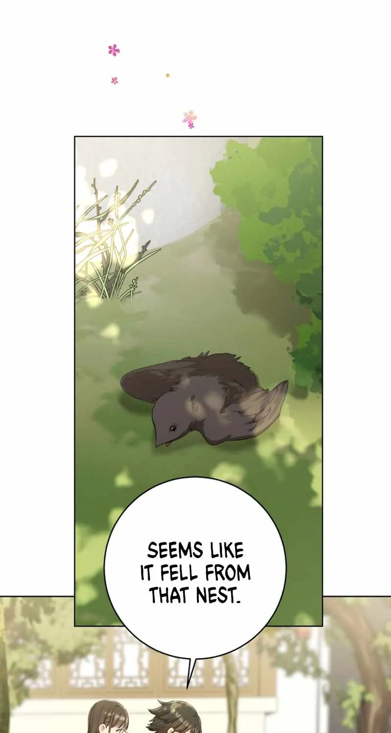 I Became the Despised Granddaughter of the Murim Family Chapter 18 page 28 - 