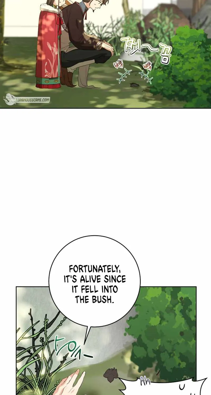 I Became the Despised Granddaughter of the Murim Family Chapter 18 page 29 - 