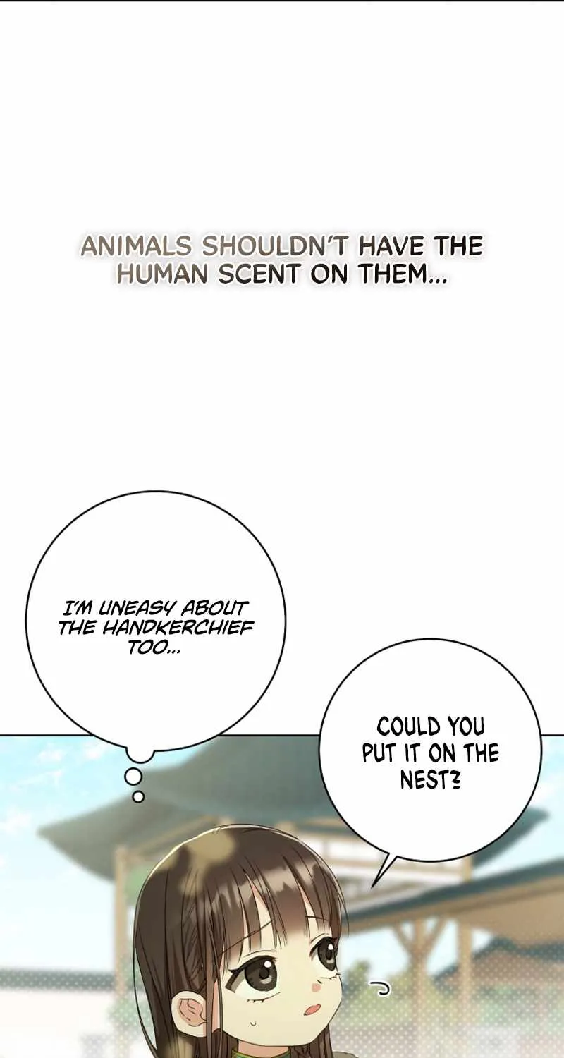 I Became the Despised Granddaughter of the Murim Family Chapter 18 page 33 - 