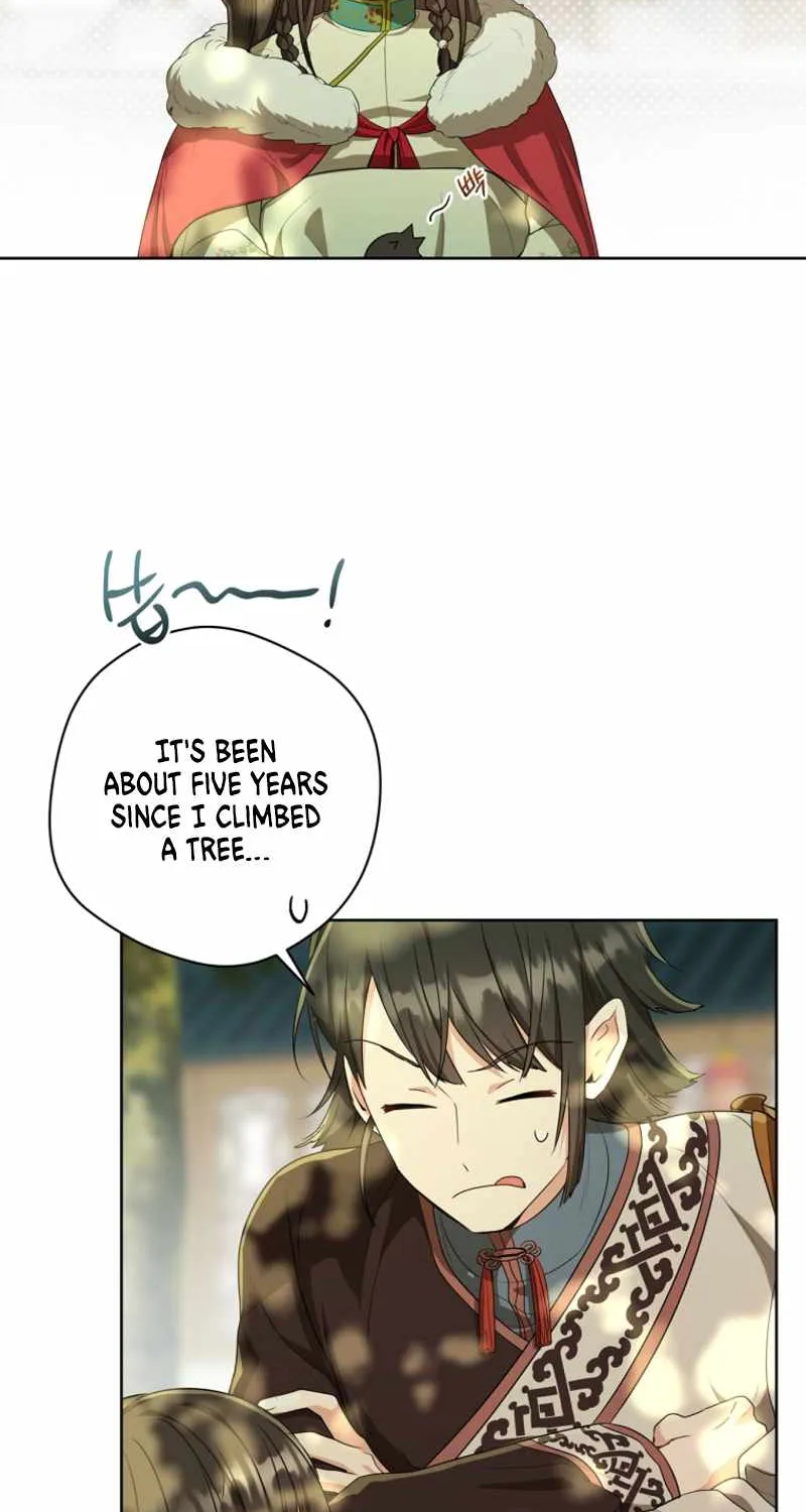 I Became the Despised Granddaughter of the Murim Family Chapter 18 page 34 - 