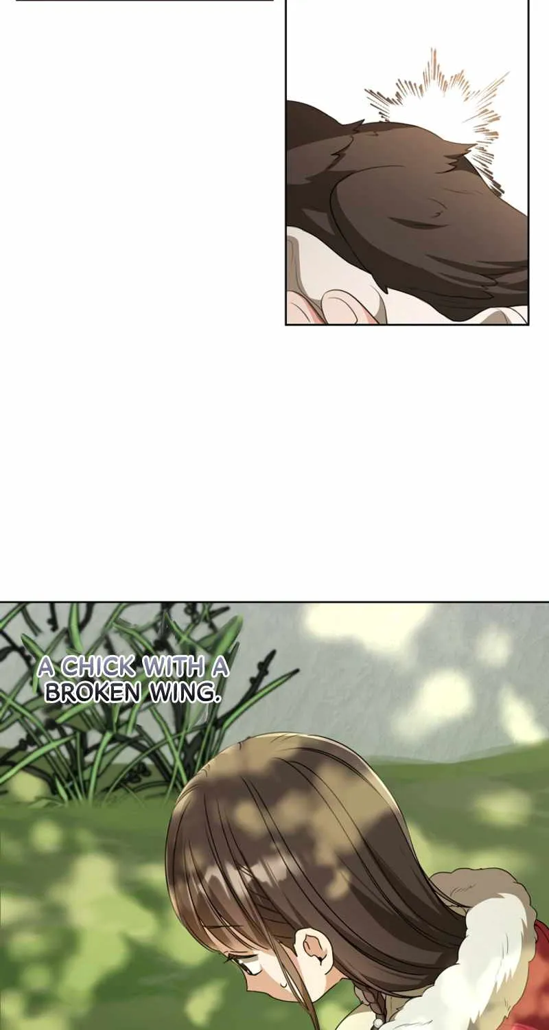 I Became the Despised Granddaughter of the Murim Family Chapter 18 page 46 - 