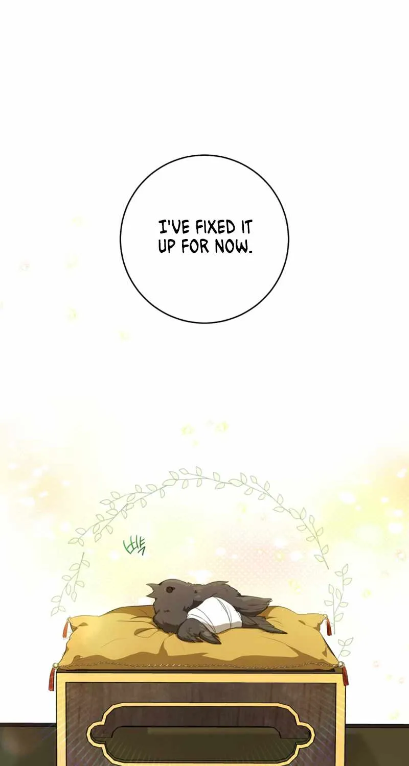 I Became the Despised Granddaughter of the Murim Family Chapter 19 page 25 - 