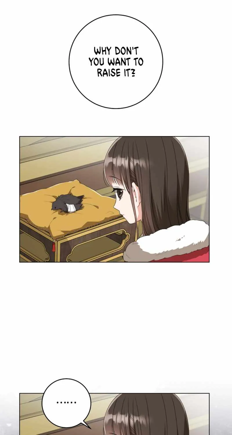 I Became the Despised Granddaughter of the Murim Family Chapter 19 page 29 - 