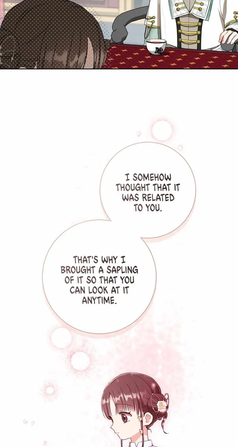 I Became the Despised Granddaughter of the Murim Family Chapter 25 page 33 - 