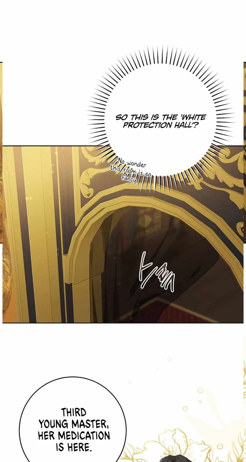 I Became the Despised Granddaughter of the Murim Family Chapter 7 page 33 - 