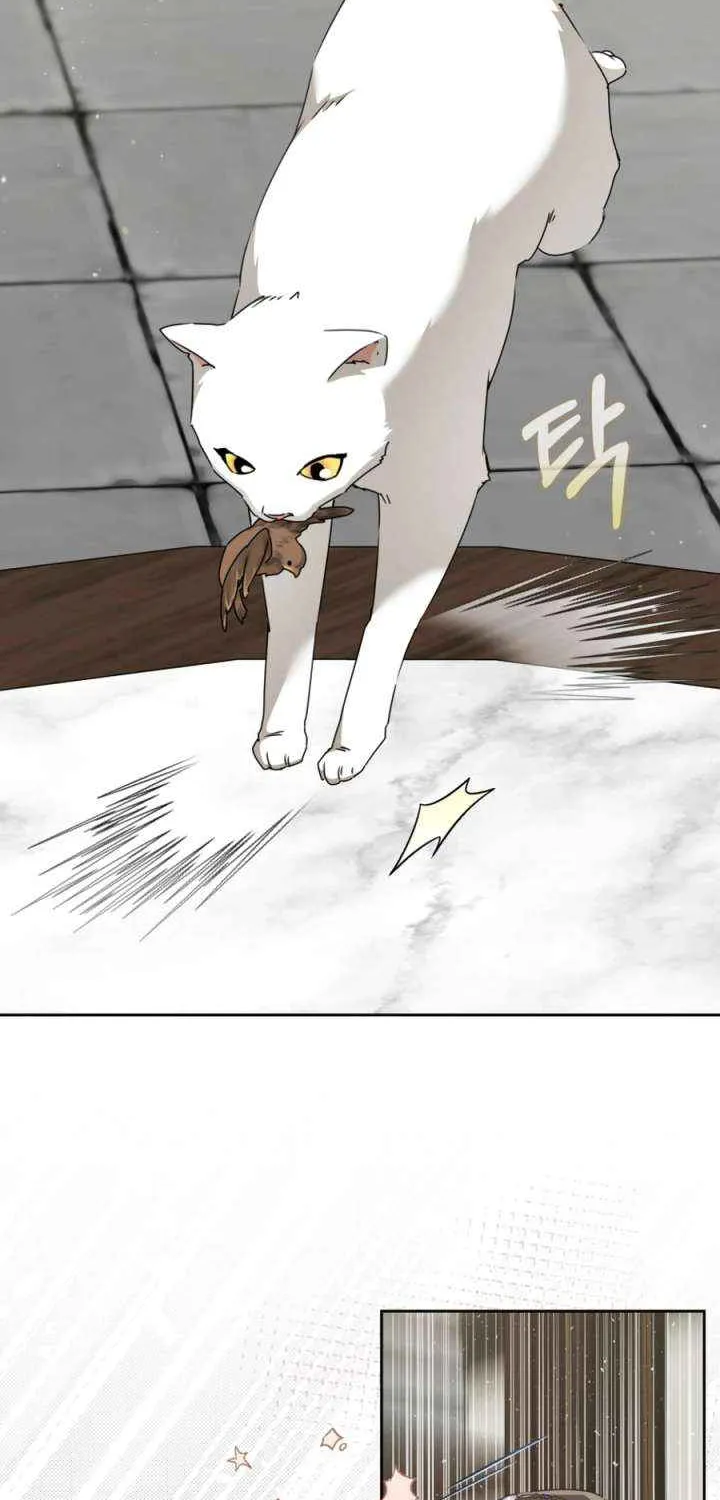 I Became the Despised Granddaughter of the Murim Family Chapter 92 page 15 - 