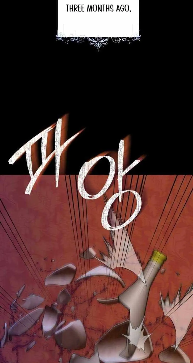 I Became The Duke’s Male Servant Chapter 1 page 27 - 