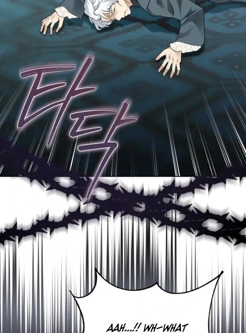 I Became The Duke’s Male Servant Chapter 40 page 114 - 