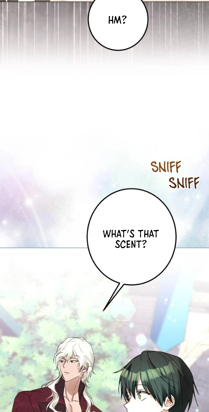 I Became The Duke’s Male Servant Chapter 70 page 65 - 