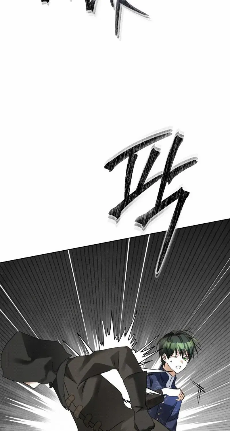 I Became The Duke’s Servant In Disguise Chapter 33 page 13 - 