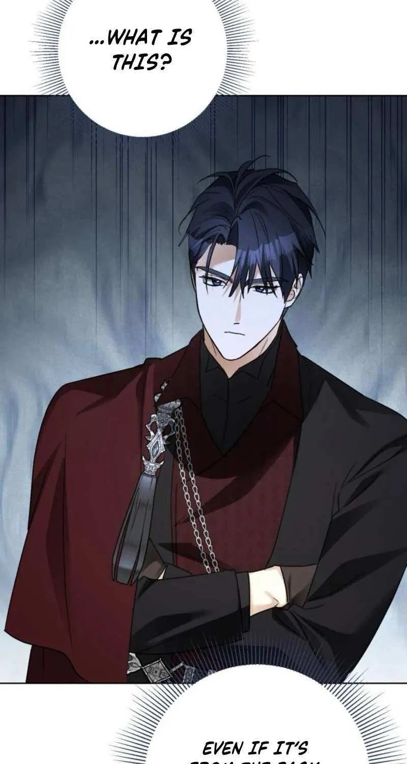 I Became The Duke’s Servant In Disguise Chapter 38 page 14 - 
