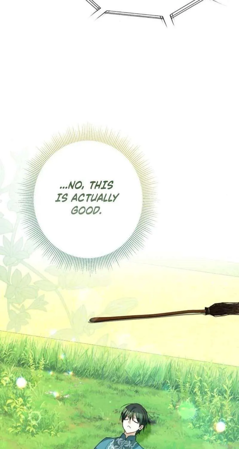 I Became The Duke’s Servant In Disguise Chapter 38 page 84 - 