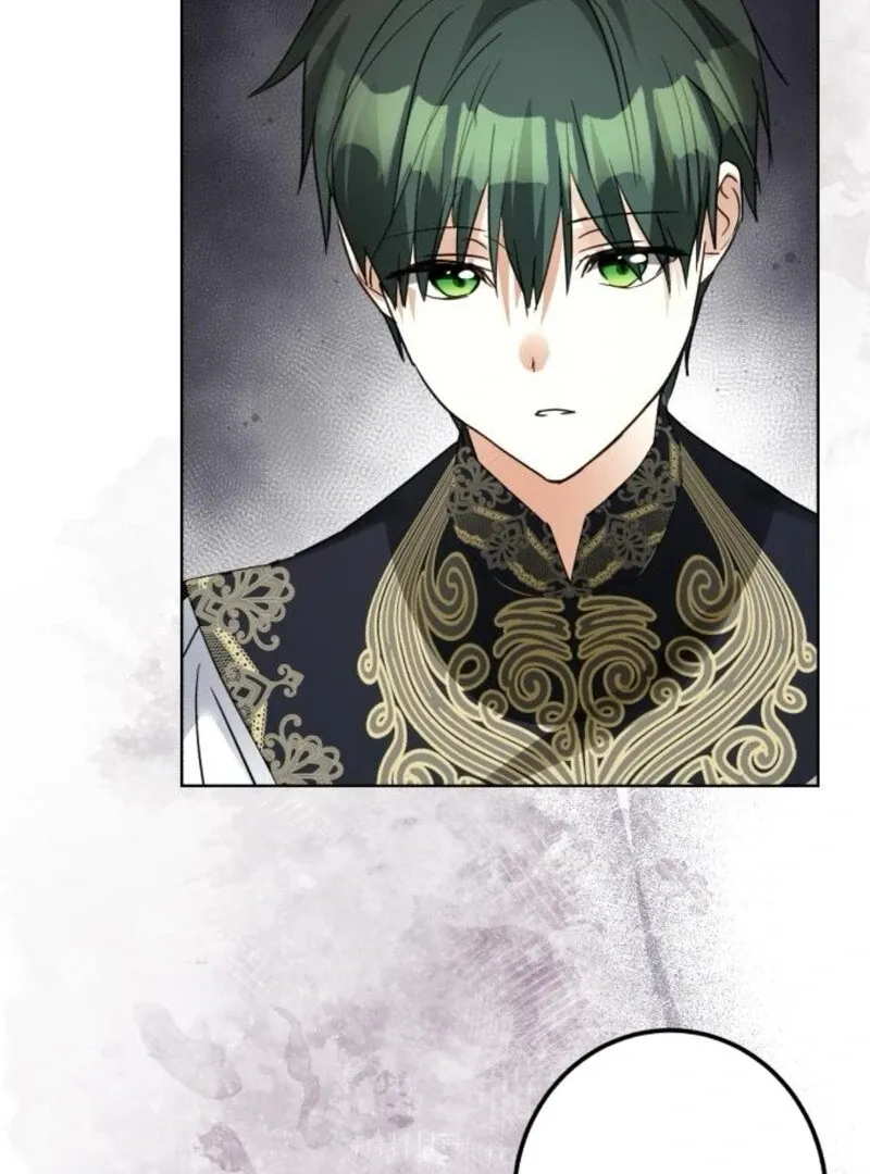 I Became The Duke’s Servant In Disguise Chapter 41 page 29 - 