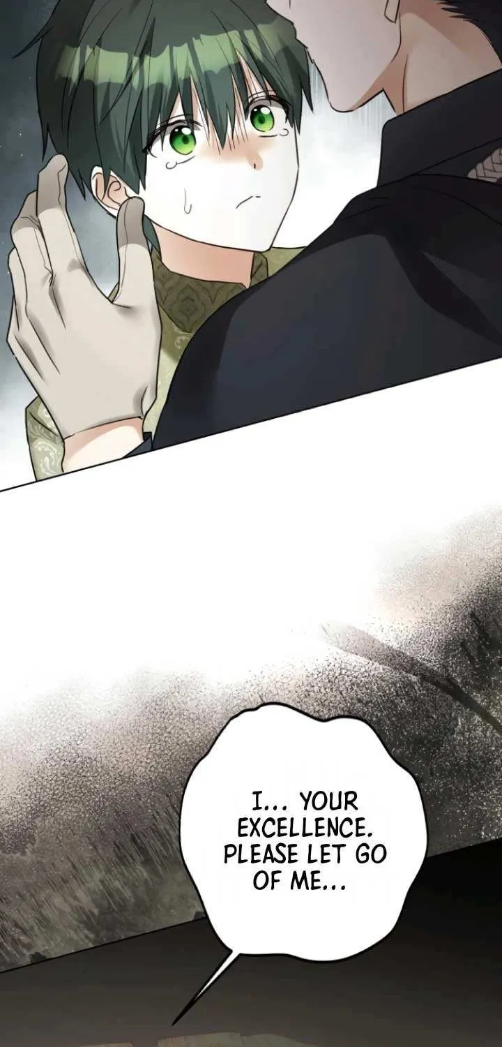 I Became The Duke’s Servant In Disguise Chapter 43 page 12 - 