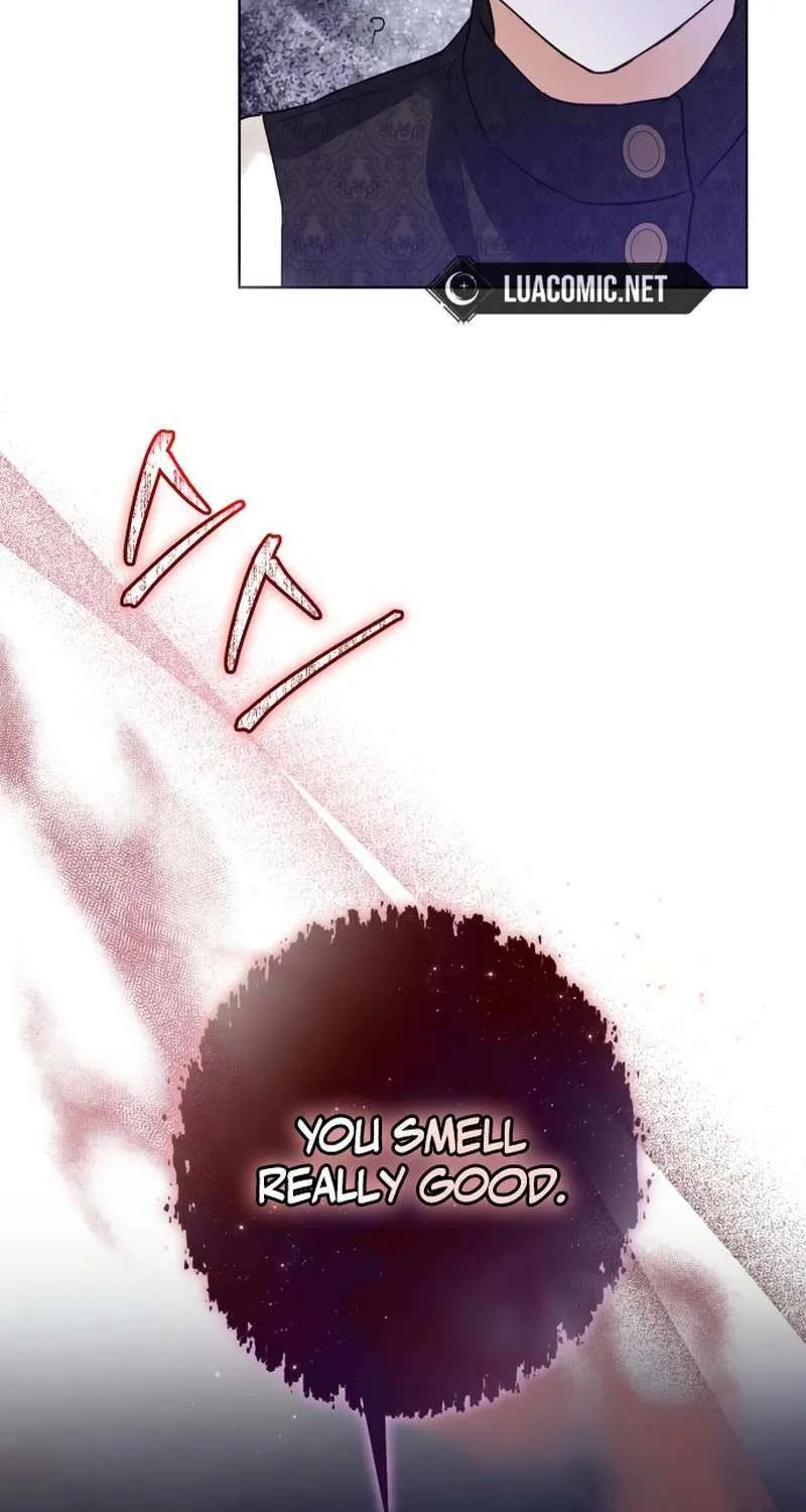 I Became The Duke’s Servant In Disguise Chapter 45 page 27 - 