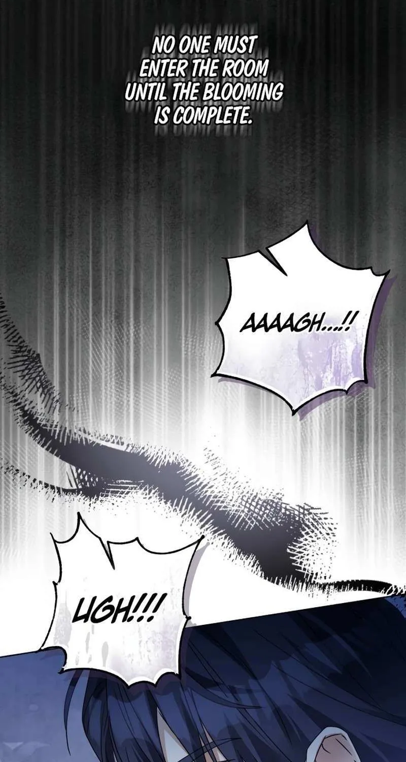 I Became The Duke’s Servant In Disguise Chapter 47 page 35 - 