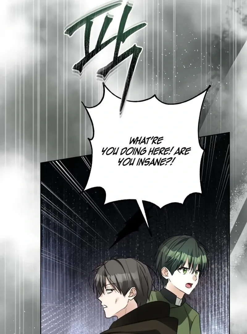 I Became The Duke’s Servant In Disguise Chapter 48 page 67 - 