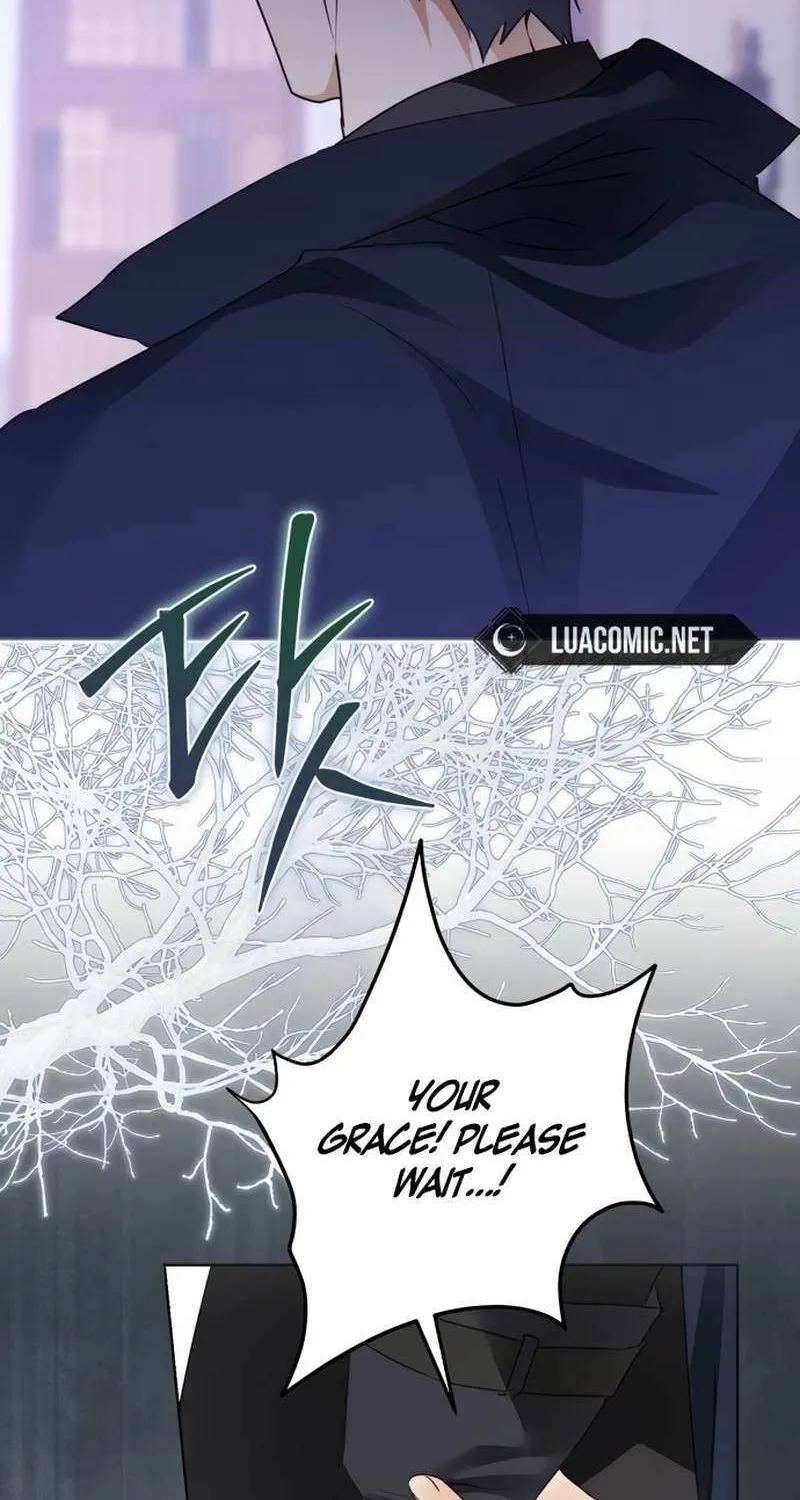 I Became The Duke’s Servant In Disguise Chapter 49 page 35 - 
