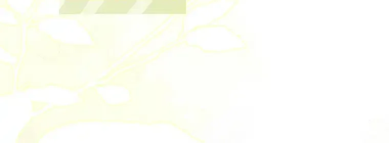 I Became The Male Lead’S Adopted Daughter Chapter 98 page 46 - 