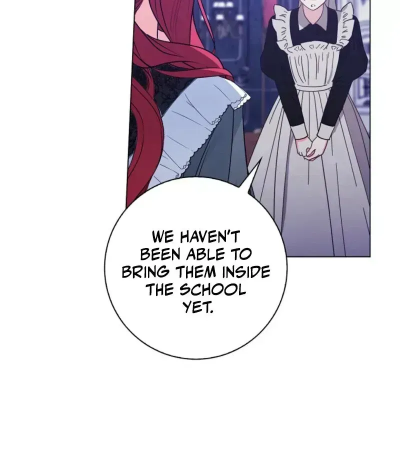 I Became The Male Leads’ Target Chapter 1.4 page 12 - 